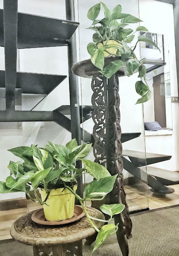 Charming Design Loft Isola Appartamento